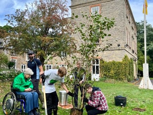 Special tree gifted to thank Somerset team for planting