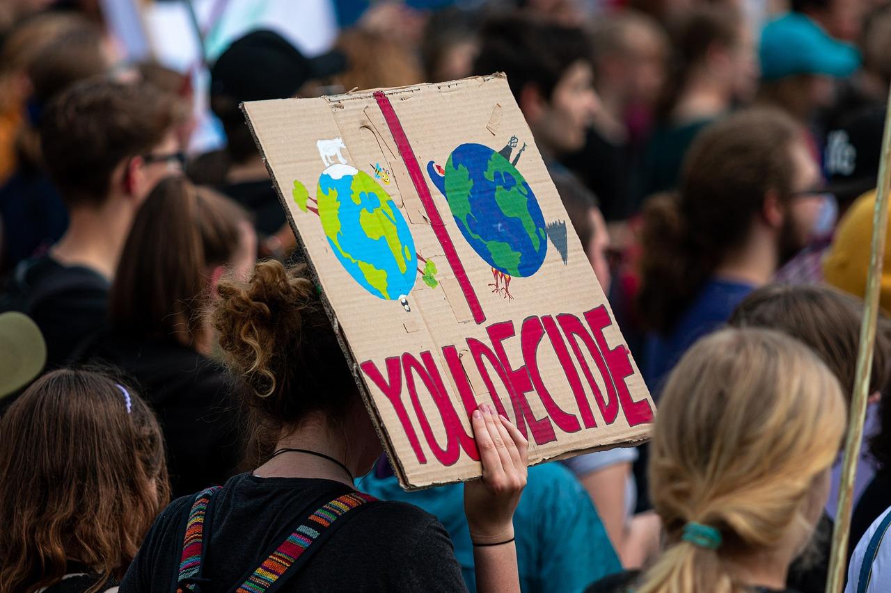 How Wellington is doing its bit to tackle climate change - Vimarsana News