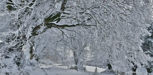 Temperatures could drop to '-7C' amid Somerset snow and ice warning