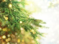 Police warning on how to stop fraudsters ruining Christmas