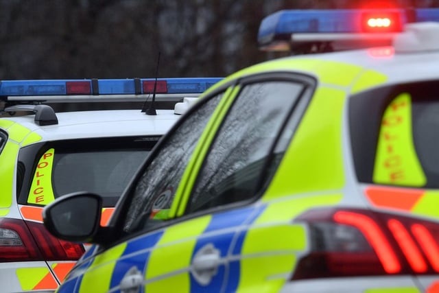 XL Bully, knuckle-dusters, and drugs seized in police raid