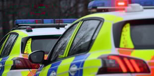 XL Bully, knuckle-dusters, and drugs seized in police raid