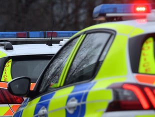 XL Bully, knuckle-dusters, and drugs seized in police raid