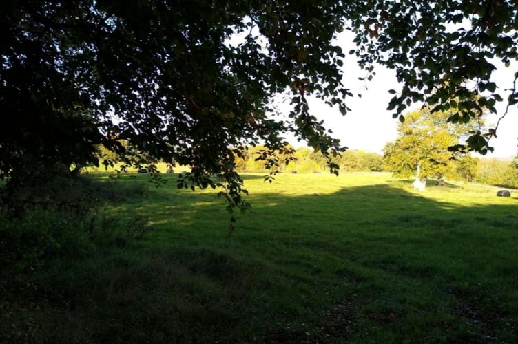 Proposed site for housing at Uffculme