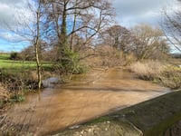 "Shocking" sewage dump data revealed