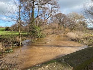 Hundreds of sewage dumps in river Tone revealed 