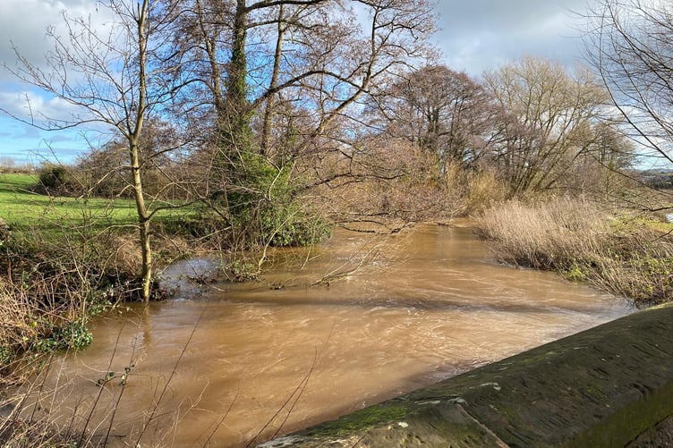 The River Tone near Nynehead on Monday
