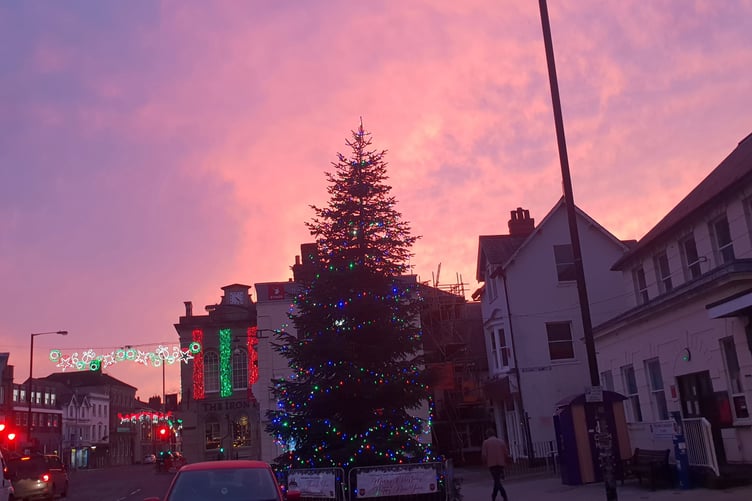 Christmas lights in Wellington