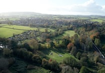 Dead elms threaten to spread tree disease around town 