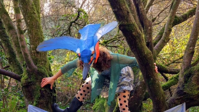 MP hits back as Extinction Rebellion plans 'Poo Tea Party' protest ...