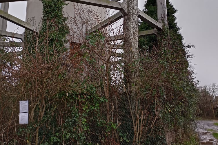 Vegetation on the second tower
