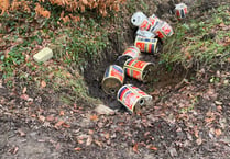 Fly-tippers caught on camera after dumping cans