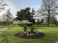 Work to improve drainage at park is under way