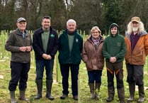 Langford planters hope their wood could be the first of many