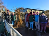 Willow tree sculpture is 'planted'