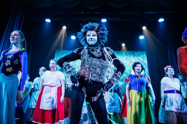 Once Upon a Time in Pantoland