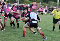 Wellington face the leaders 
