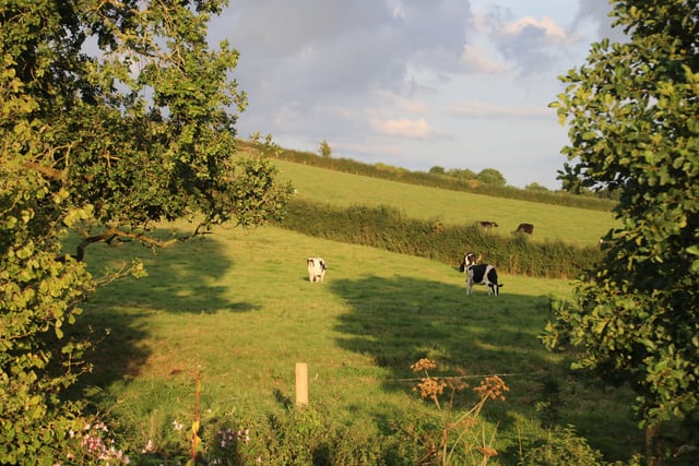 Farmers Union hope to resolve Exeter Council's proposed meat ban
