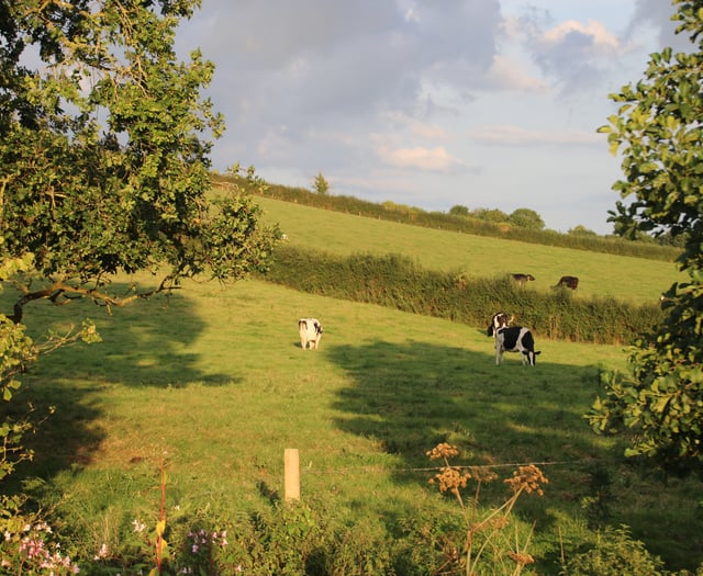 Farmers Union hope to resolve Exeter Council's proposed meat ban

