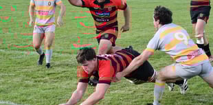 Wellington lose at Sherborne
