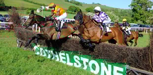 Cothelstone point to point on this Saturday