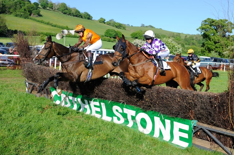 Point to point to take place at Cothelstone on Saturday