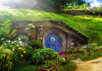 Hopes for lock-up on Fox's Field to look like Teletubby house