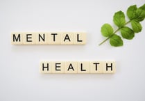 £17,000 for mental health project approved by Wellington Town Council 