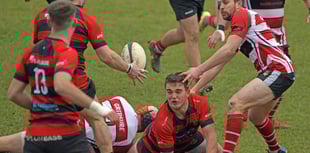 Wellington chasing fifth spot 