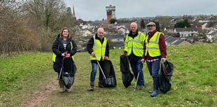 Claims Wellington litter problem is 'becoming alarming'