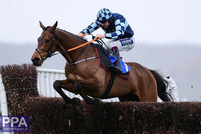 Pipe pulls Remastered out of the Grand National