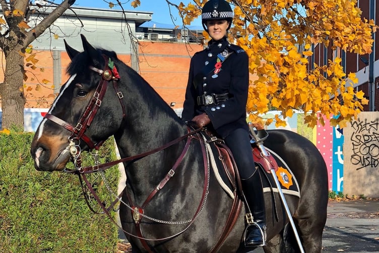 Police Horse Wellington with his rider Sgt Hannah Clarke