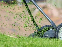 £9000 bill to cut grass in park and empty dog bins