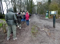 Celebration to mark end of Queen's Green Canopy project