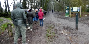 Celebration to mark end of Queen's Green Canopy project