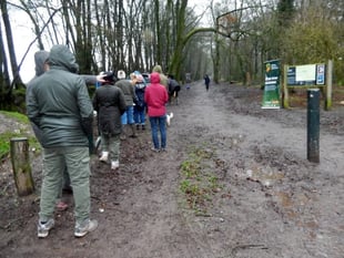 Celebration to mark end of Queen's Green Canopy project