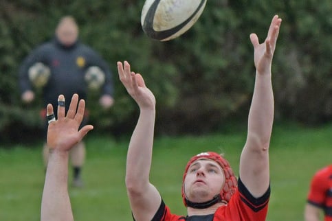 rugby