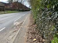 Lidl walk difficult for elderly as piles of leaves obstruct pavement
