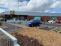 Four years and still waiting for a Lidl hedge