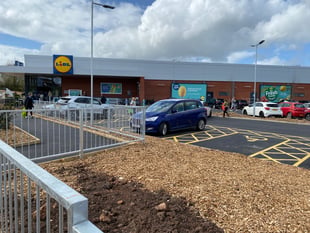 Four years and still waiting for a Lidl hedge
