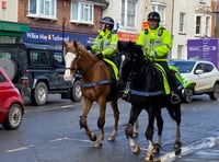 Mounted police back on the streets of Wellington 