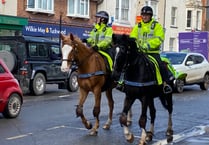 Mounted police back on the streets of Wellington 