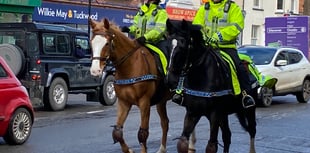 Mounted police back on the streets of Wellington 