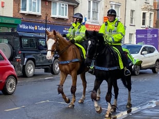 Mounted police back on the streets of Wellington 