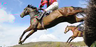 Bank Holiday point to point goers defy gloomy forecast 
