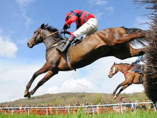 Bank Holiday point to point goers defy gloomy forecast 