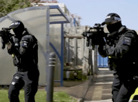 Armed police arrest man after 'handgun fired'