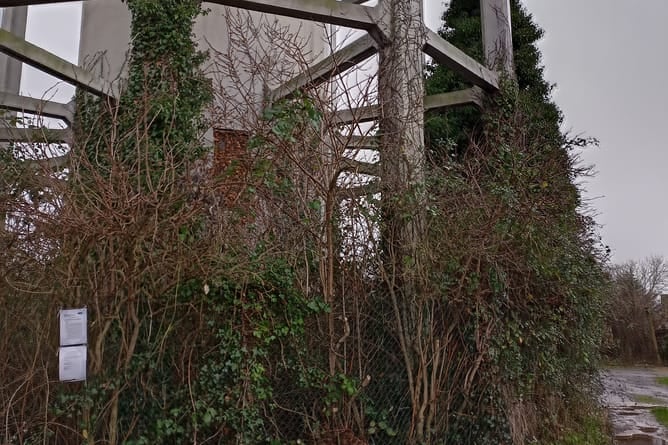 The council stepped in to strip back vegetation from the pair of Grade II listed towers
