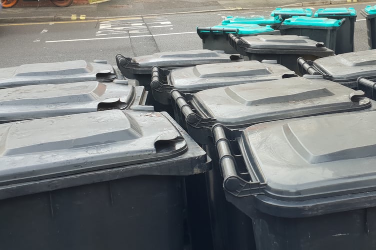 Wheelie bins.