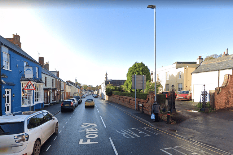 Homes in Wellington have been hit by a pair of burglars